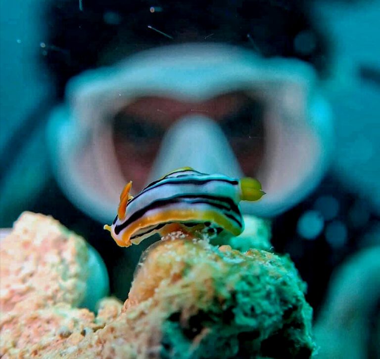 2D1N . Mabul Island . 3 Fun Dives [RM780/pax]